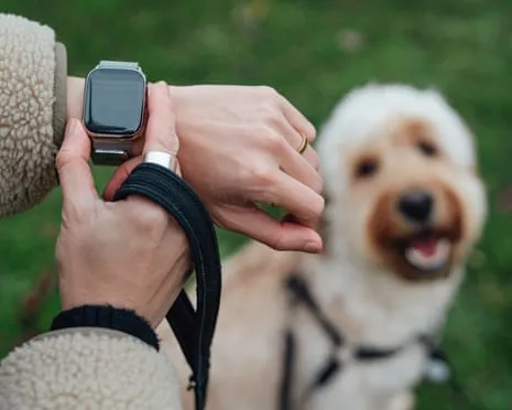 The Reality Concerning Wearable Tech? Living Improves Devoid of a Bossy Zealot on Your Wristwear